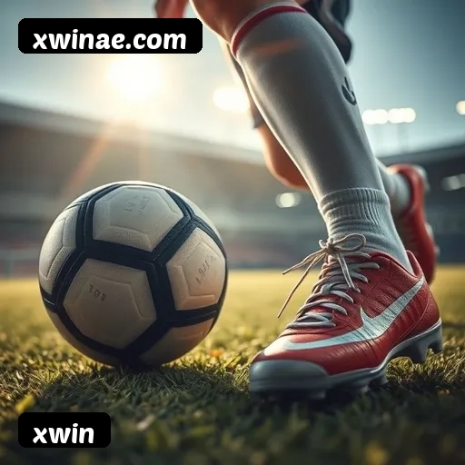 Níveis do programa VIP da xwin